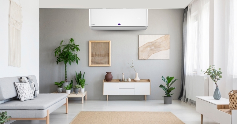 vệ sinh máy lạnh Carrier 2