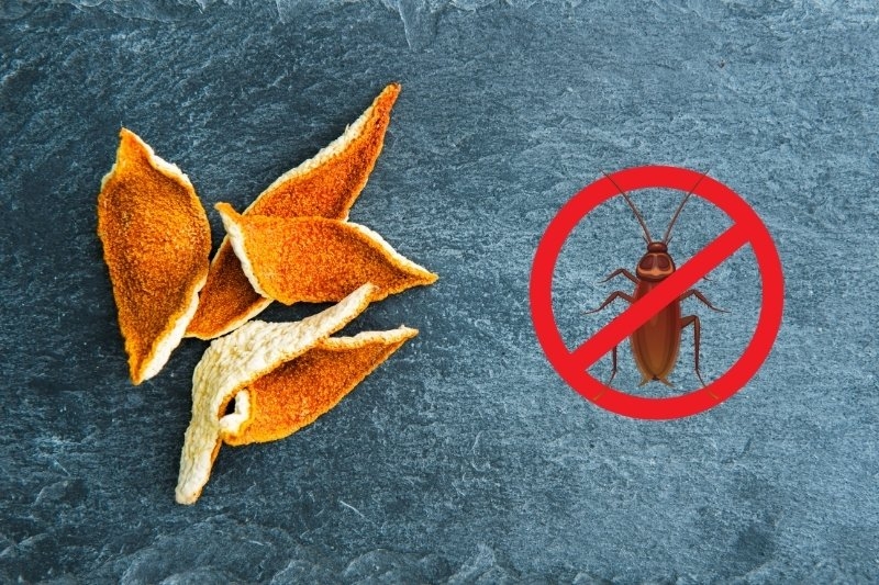 Sử dụng đồ vật trong nhà để diệt gián