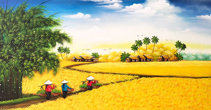 Cánh đồng lúa