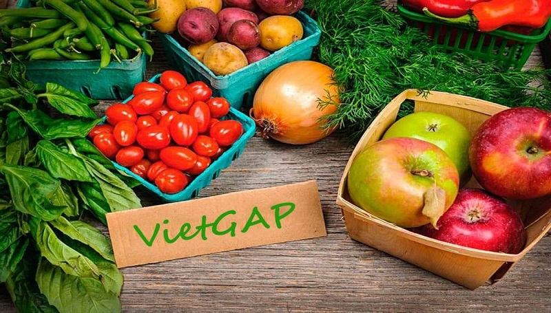 VietGAP là gì? (hình 1)