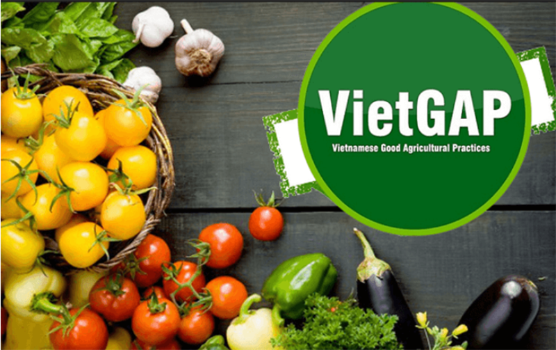 VietGAP là gì? (hình 5)