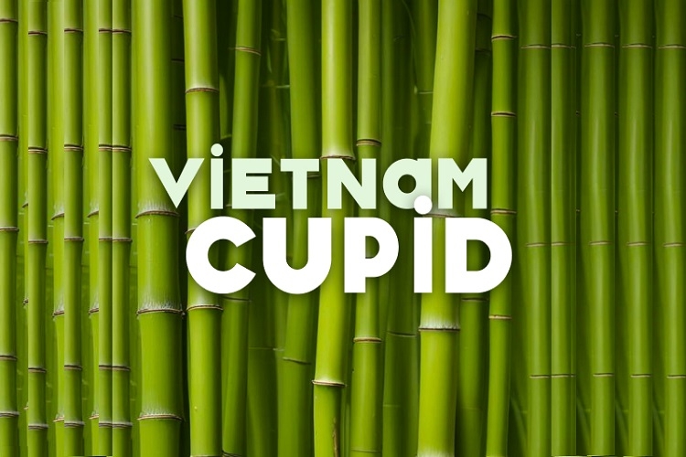 vietnamcupid-6.jpg
