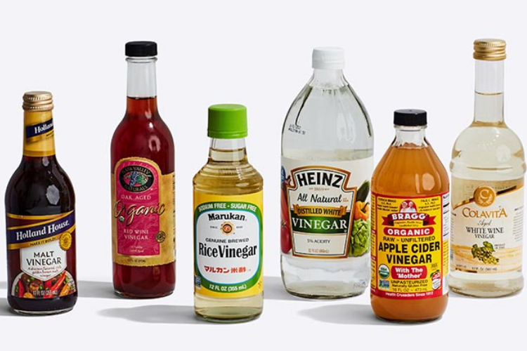 vinegar là gì 4