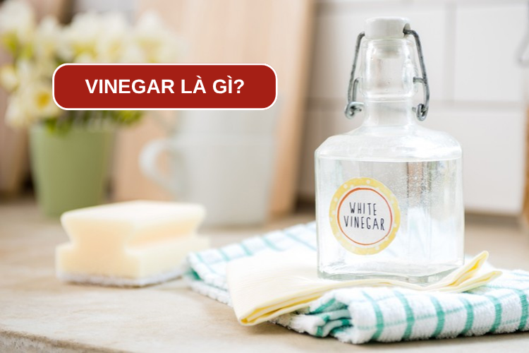 Giải đáp: Vinegar là gì? Khám phá top 5 loại vinegar phổ biến trong ẩm thực 