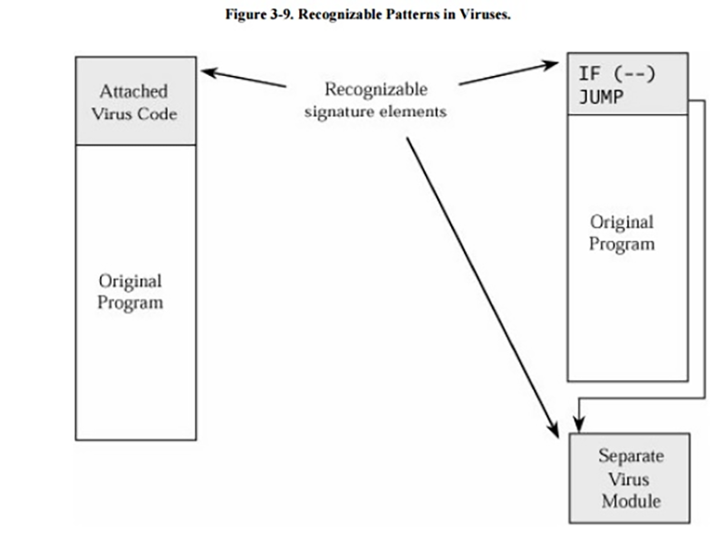 Virus Signature là gì? (hình 4)