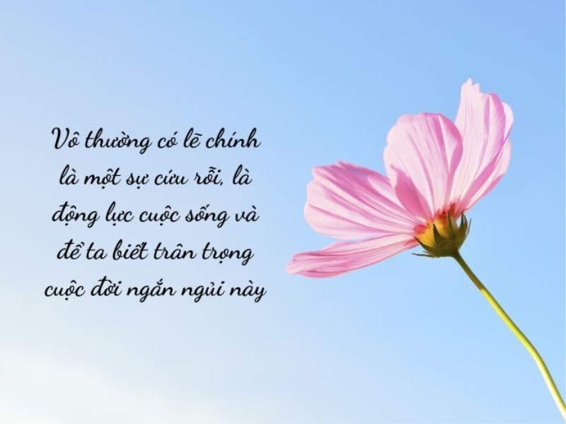 Vô thường là gì 1