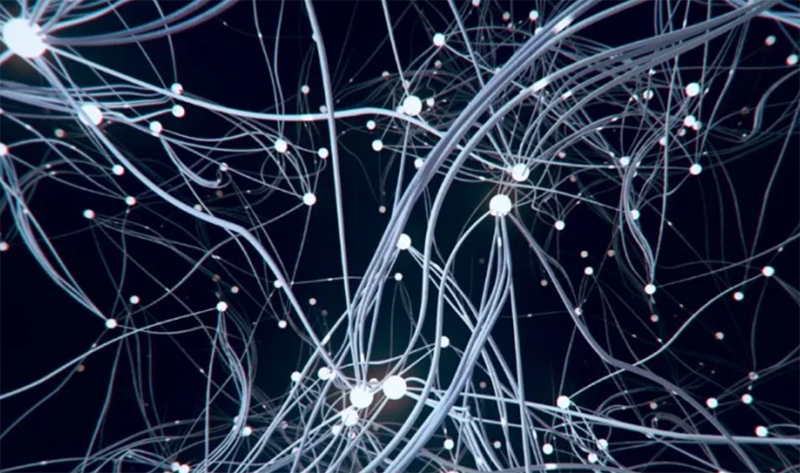 VUCA là gì? (hình 3)