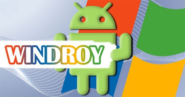 Tổng quan về Windroy 10