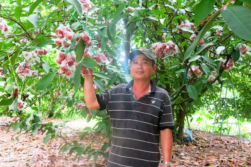 xã An Phước của Đồng Tháp 3.jpg