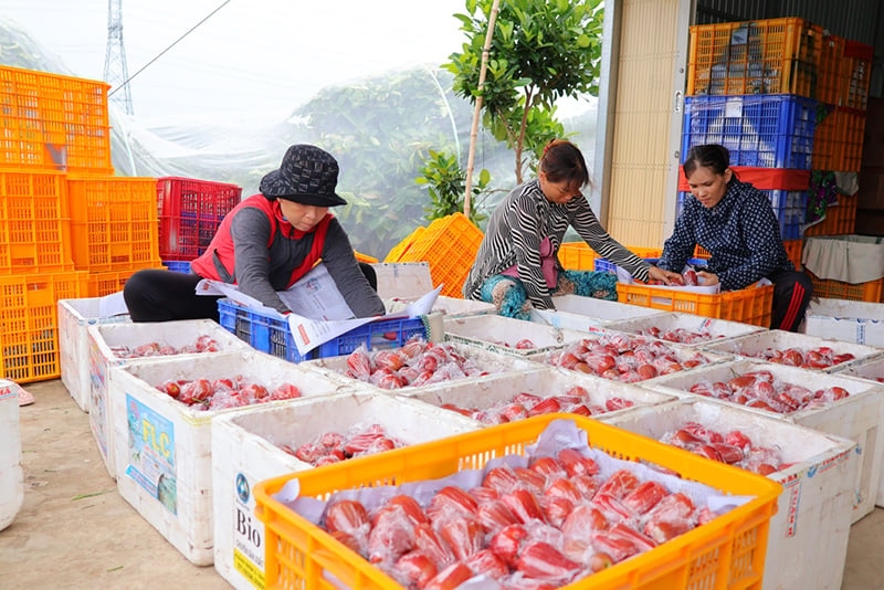 xã An Phước của Đồng Tháp 4.jpg