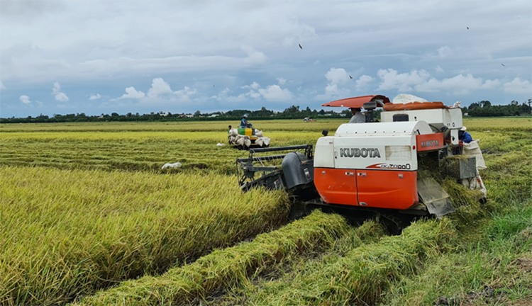 Xã An Hòa của Đồng Tháp (hình 5)
