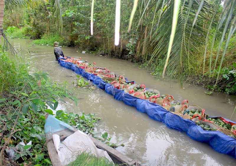 Xã Hiếu Thành của Vĩnh Long sau sáp nhập (hình 4)