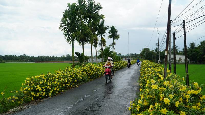 Xã Hòa Bình của Vĩnh Long (hình 1)