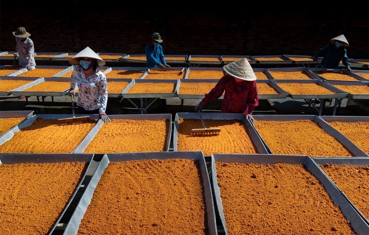 Xã Hòa Hội của Tây Ninh sau sáp nhập 5