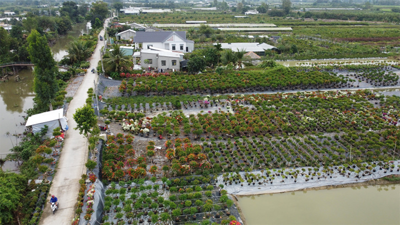 Xã Lai Vung của Đồng Tháp (hình 1)