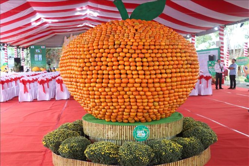 Xã Lai Vung của Đồng Tháp (hình 6)