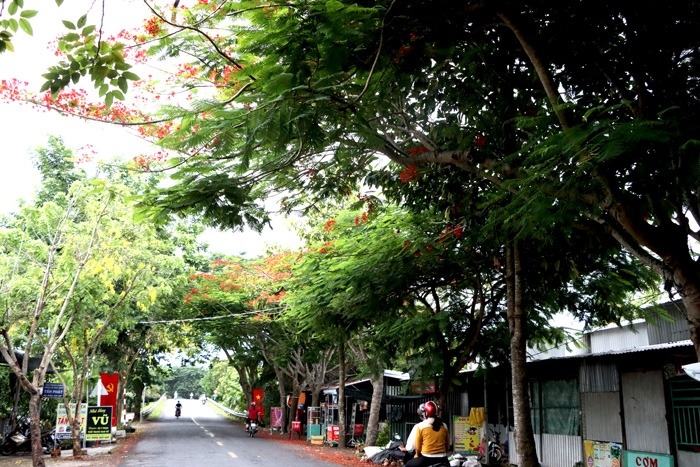 Xã Mỹ Hiệp của Đồng Tháp 5