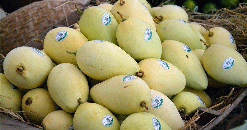 Xã Mỹ Hiệp của Đồng Tháp 3