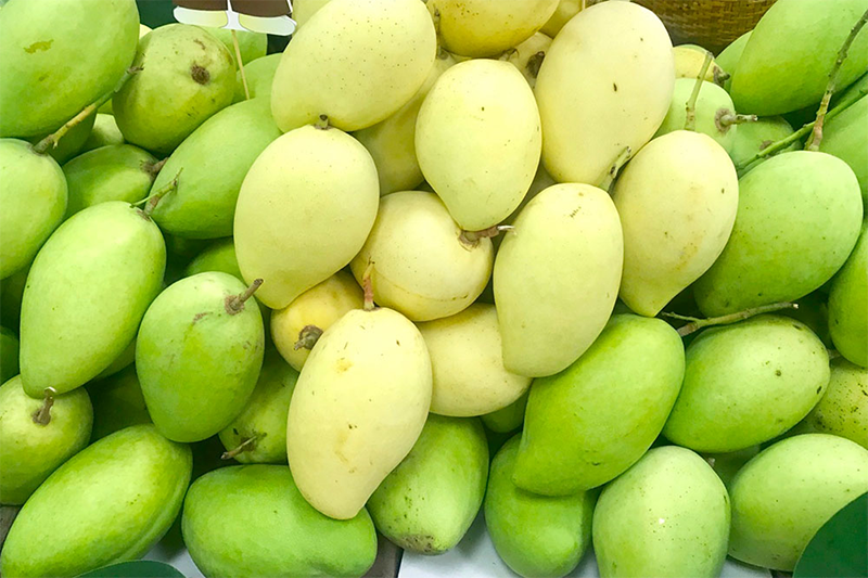 Xã Mỹ Thọ của Đồng Tháp (hình 4)