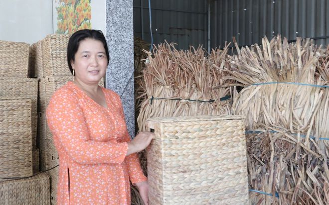 Trồng lúa chất lượng cao