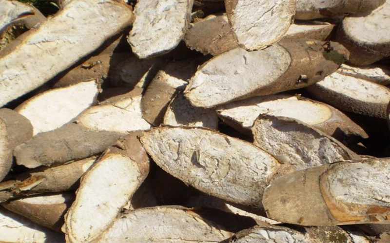 Xã Tân Đông của Tây Ninh (hình 4)