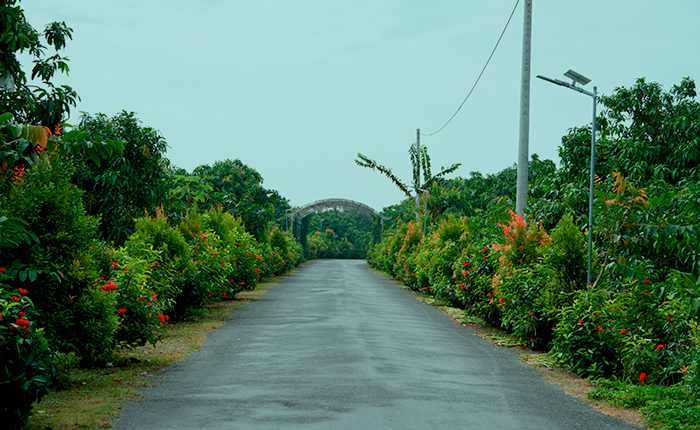 Phát triển theo hướng bền vững
