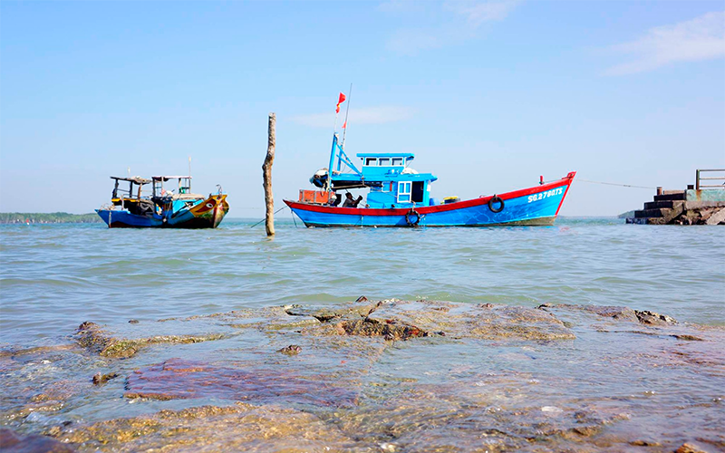 Xã Thạnh An của TP HCM (hình 4)