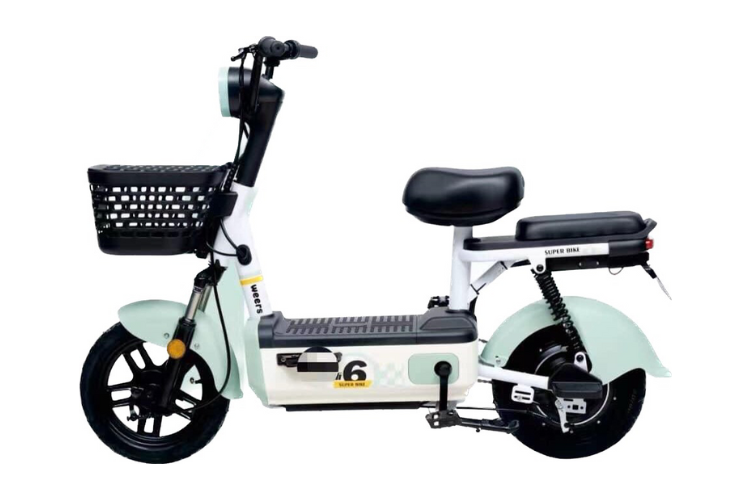 Xe đạp điện là gì (ảnh 6)