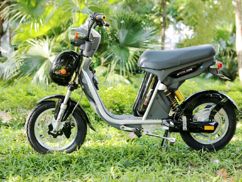 Xe đạp điện là gì (ảnh 1)