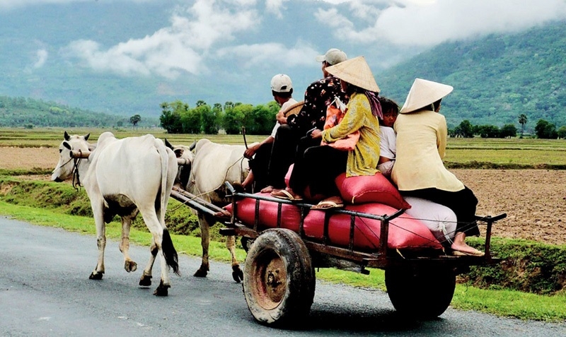 Xe thô sơ là gì 6