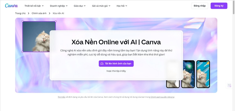 Công cụ tách nền AI - ảnh 6