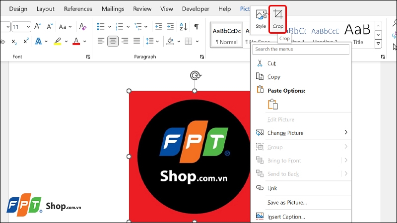 Xóa ảnh nền trong Word ảnh 6