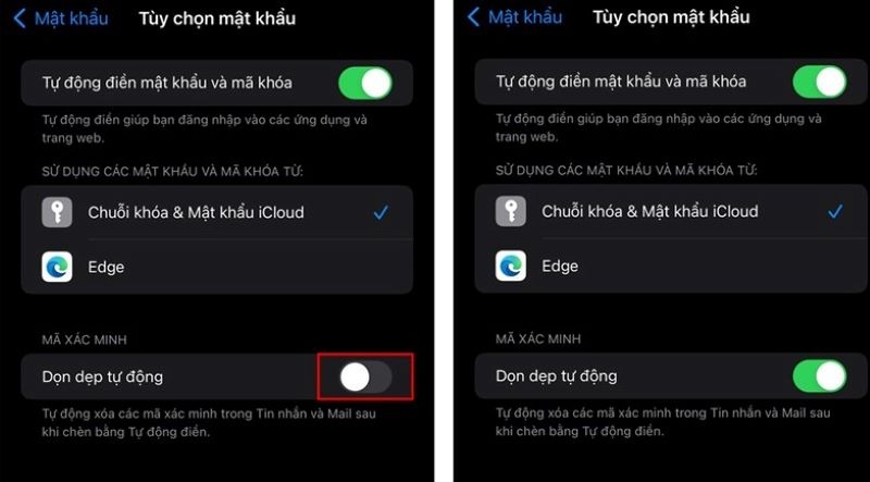 Cách tự động xóa tin nhắn và email 2FA trên iOS 17 (ảnh 3)