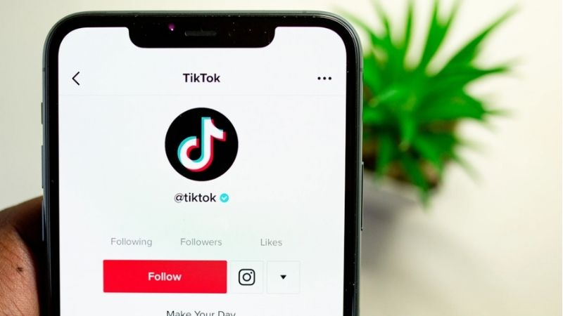 Ý nghĩa các huy hiệu TikTok 1