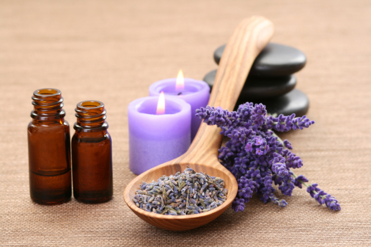 Ý nghĩa hoa Lavender 4
