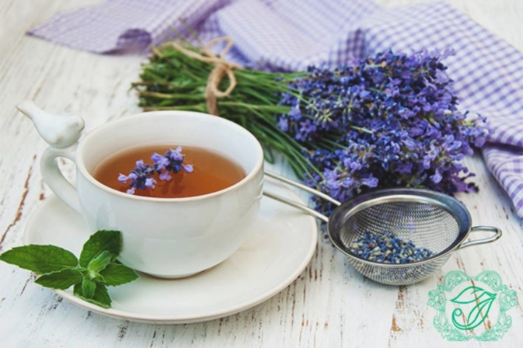 Ý nghĩa hoa Lavender 2