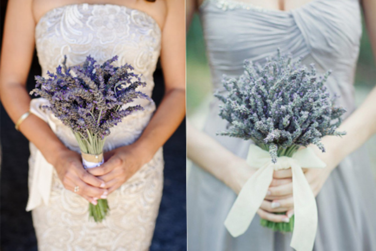 Ý nghĩa hoa Lavender 5