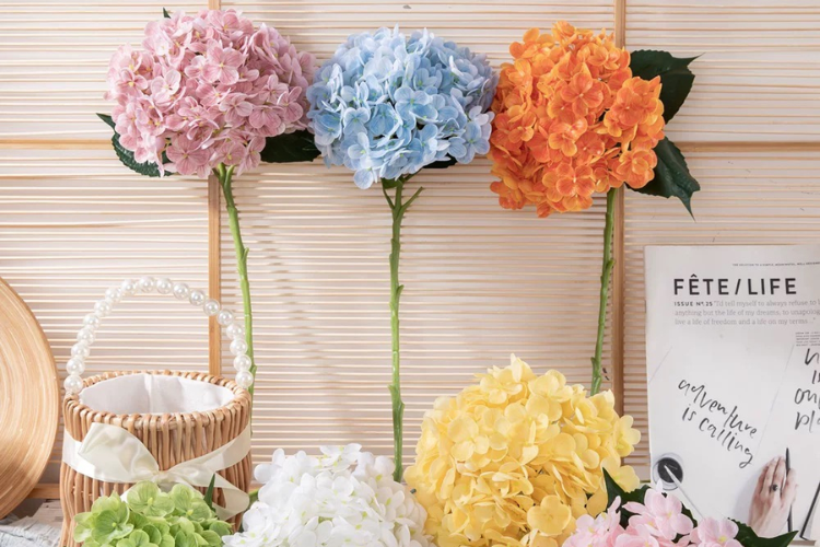 Ý nghĩa hoa cẩm tú cầu 3