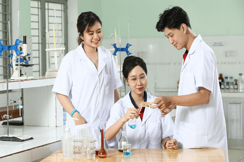 YDS là trường gì? (hình 4)