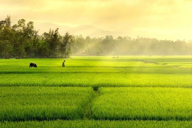 Yếu tố miêu tả là gì? (hình 3)
