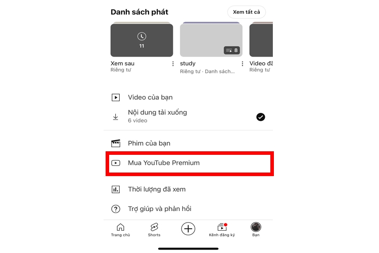 Youtube premium miễn phí hình 3